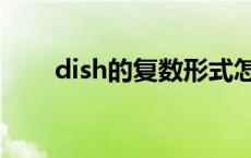 dish的复数形式怎么读 dish的复数 