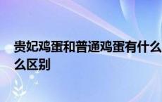 贵妃鸡蛋和普通鸡蛋有什么区别? 贵妃鸡蛋和普通鸡蛋有什么区别 