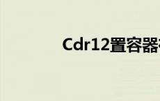 Cdr12置容器在那里 cdr12 