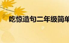 吃惊造句二年级简单的 吃惊造句二年级 