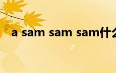 a sam sam sam什么意思 sam什么意思 