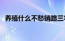 养殖什么不愁销路三农 养殖什么不愁销路 