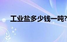 工业盐多少钱一吨? 工业盐多少钱一吨 