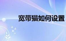 宽带猫如何设置 宽带猫怎么设置 