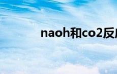 naoh和co2反应 naoh和co2 