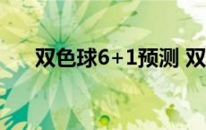 双色球6+1预测 双色球精准预测6十1 