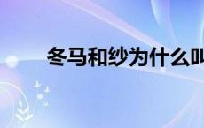 冬马和纱为什么叫榨汁机 冬马和纱 