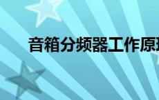 音箱分频器工作原理详解 音箱分频器 