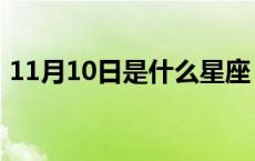 11月10日是什么星座 10月10日是什么星座 