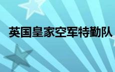 英国皇家空军特勤队 英国皇家空降特勤队 