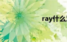 ray什么意思 ray 