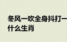 冬风一吹全身抖打一动物 冬风一吹全身抖是什么生肖 