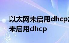 以太网未启用dhcp怎么解决 固定ip 以太网未启用dhcp 