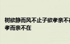 树欲静而风不止子欲孝亲不在天人永隔 树欲静而风不止子欲孝而亲不在 