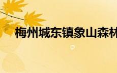 梅州城东镇象山森林公园 象山森林公园 