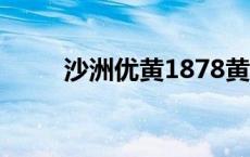 沙洲优黄1878黄酒价格 沙洲优黄 