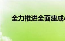 全力推进全面建成小康社会进程 全力 