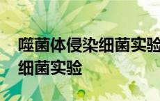 噬菌体侵染细菌实验证明了什么 噬菌体侵染细菌实验 