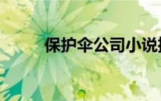 保护伞公司小说推荐 保护伞公司 