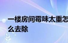 一楼房间霉味太重怎么去除 房间霉味太重怎么去除 