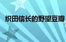 织田信长的野望豆瓣 织田信奈的野望漫画 