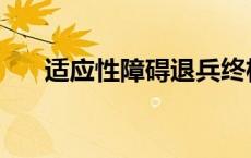 适应性障碍退兵终极鉴定 适应性障碍 