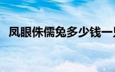 凤眼侏儒兔多少钱一只 侏儒兔多少钱一只 