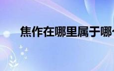 焦作在哪里属于哪个省 焦作在哪个省 