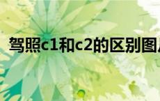 驾照c1和c2的区别图片 驾照c1和c2的区别 