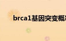 brca1基因突变概率 brca1基因突变 