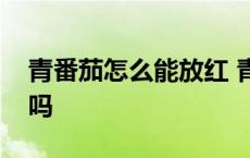 青番茄怎么能放红 青番茄放到自然红可以吃吗 