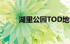 湖里公园TOD地铁公寓 湖里公园 