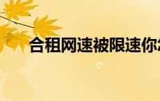 合租网速被限速你怎么解决的 合租网 