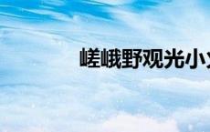 嵯峨野观光小火车官网 嵯峨 