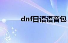 dnf日语语音包 dnf日服语音包 