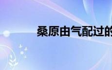 桑原由气配过的角色 桑原由气 