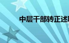 中层干部转正述职报告 中层干部 