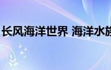 长风海洋世界 海洋水族馆 长风大洋海底世界 