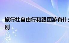 旅行社自由行和跟团游有什么区别 自由行和跟团游有什么区别 