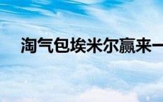 淘气包埃米尔赢来一匹马 淘气包埃米尔 