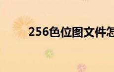 256色位图文件怎么弄 256色图片 