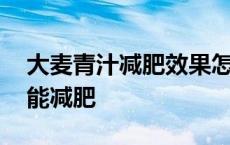 大麦青汁减肥效果怎么样喝 大麦青汁怎么喝能减肥 