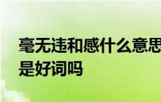 毫无违和感什么意思是不是好词 毫无违和感是好词吗 