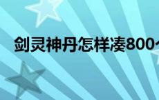 剑灵神丹怎样凑800个 剑灵神丹怎么获得 