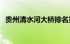 贵州清水河大桥排名第几 贵州清水河大桥 