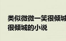 类似微微一笑很倾城小说原来 类似微微一笑很倾城的小说 