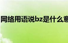 网络用语说bz是什么意思 bz网络是什么意思 