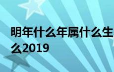 明年什么年属什么生肖2024 明年什么年属什么2019 