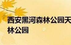 西安黑河森林公园天气预报15天 西安黑河森林公园 