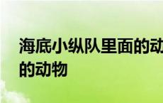 海底小纵队里面的动物名称 海底小纵队介绍的动物 